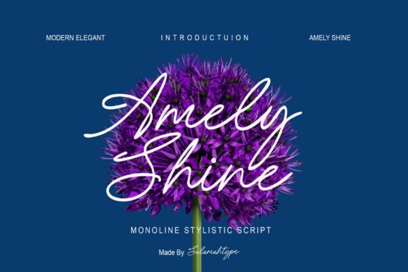 Discovering the Amely Shine Script Font